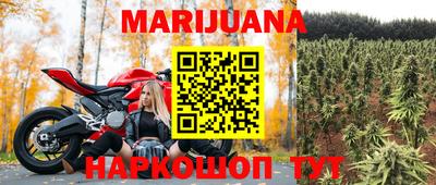 стафф Будённовск