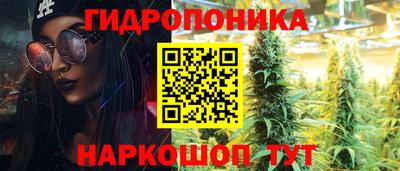 стафф Будённовск