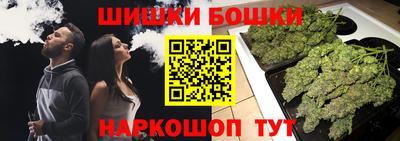 стафф Будённовск