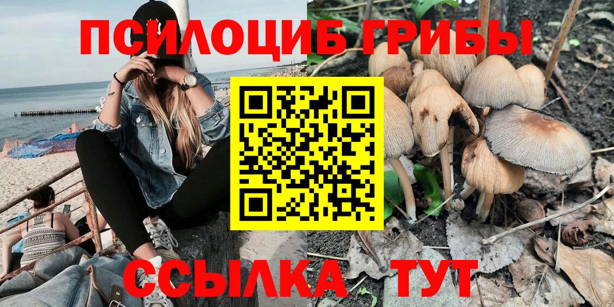 Галлюциногенные грибы Psilocybine cubensis Лабытнанги