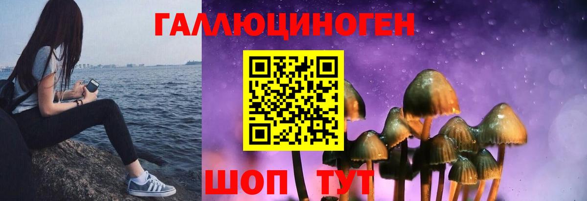 Псилоцибиновые грибы GOLDEN TEACHER  Вход с VPN  Лабытнанги  Галлюциногенные грибы мицелий 